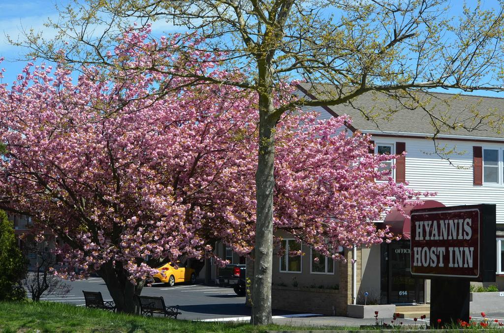 Hyannis Host Inn Zewnętrze zdjęcie